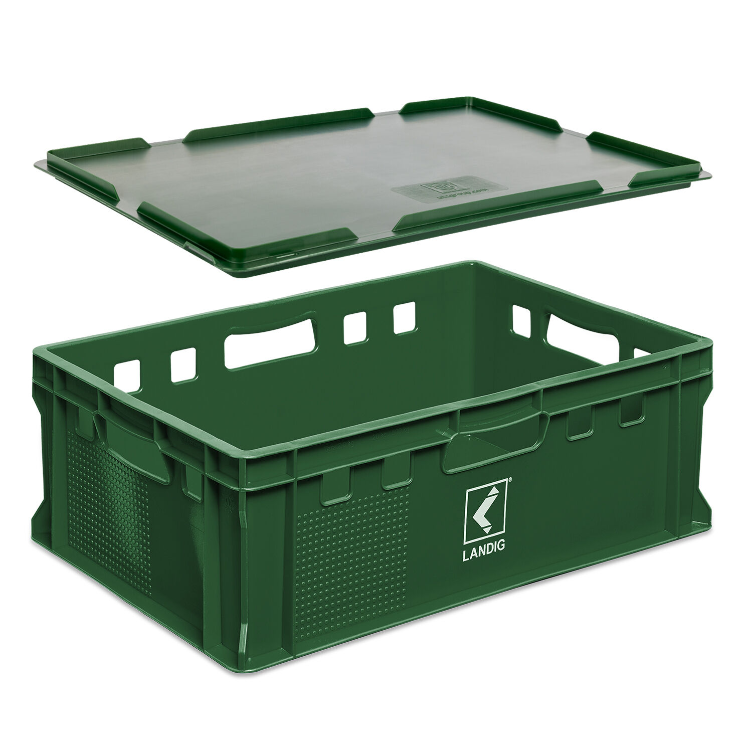 lightbox image